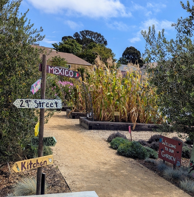 A brightly painted sign post in a garden points towards Mexico, 29th Street, Greenhouse, and Kitchen