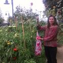 Weighing Harvest in San Jose Community Garden