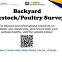 Backyard Poultry Survey