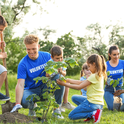 youth planting trees