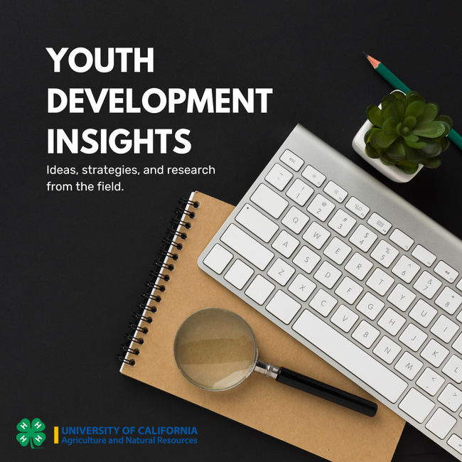 Youth Development Insights