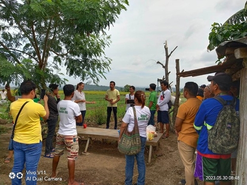 Meeting with farmers on a spring onion farm in Laguna province.