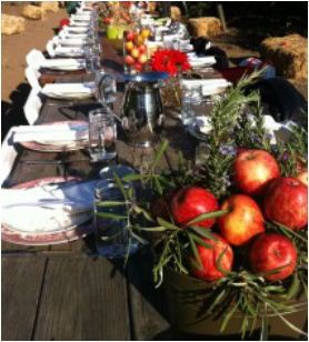Dinner table set at Bloomingcamp Ranch