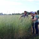 De izquierda a derecha aparecen los investigadores Mark Lundy, Kalyn Taylor y Taylor Becker (en ese momento todos eran parte del Departamento de Ciencias de las Platas de UC Davis), mientras observan las parcelas sembradas con pasto de trigo. La fotografía fue tomada en el 2019 por el Departamento de Ciencias de las Plantas de UC Davis