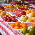 Una gran variedad de tomates pueden ser cultivados en el jardín.