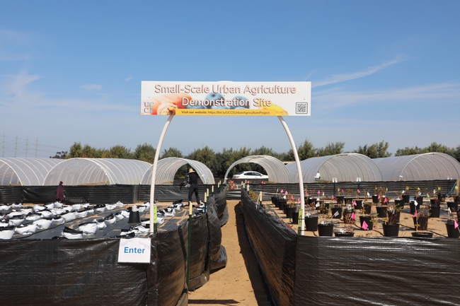 Vista complete del Small-Scale Urban Agriculture Demonstration Site en The Flower Fields de Carlsbad. Fotografía por Rob Padilla.