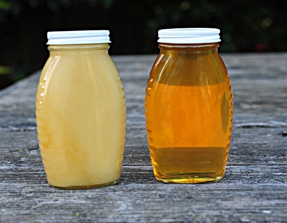 Miel Abrepuño (Centaurea solstitialis): granulada o cristalizada a la izquierda y miel liquida a la derecha.