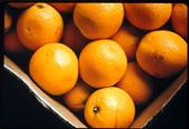 El Distrito Escolar de LA compra las naranjas del condado de Riverside, en vez de la Florida.