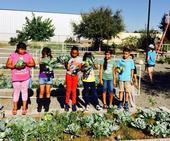 Estudiantes de tercer grado de la primaria Pixley en su huerto de verano.