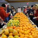 Cientos de frutas cítricas para ser probadas en el evento degustación del año pasado.