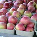 El otoño marca el auge de la temporada de manzanas en California. Es el momento perfecto para preservarlas.