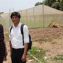 La investigadora de UC Davis, Karen LeGrand y Thort Chuong frente a otro vivero de malla en Camboya que fue construido después de haber ayudado a mostrar a científicos, granjeros y comerciantes las tecnologías del Laboratorio de Innovación Hortícola.