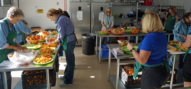 Voluntarios del programa Jardineros Maestros de UC prepararon persimos de diferentes variedades para ser degustados.