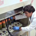 El doctor Pramod Pandey, profesor y especialista de extensión cooperativa de la Facultad Veterinaria de UC Davis, conduce experimentos sobre cómo capturar el biogás.