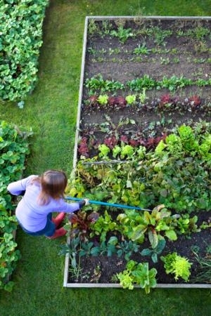 Los jardines ofrecen muchos beneficios a individuos, familias y comunidades