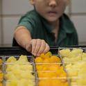 Las comidas escolares universales tienen el objetivo de mejorar el acceso de los estudiantes a las comidas saludables. Fotografía por USDA