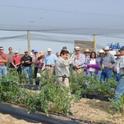 Manual Jimenez talks blueberries at the UC Kearney Agricultural Research and Extension Center last fall.