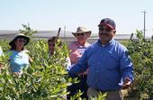 Manuel Jimenez leads a tour of the 15-year-old blueberry research plot.