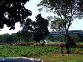 Urban food production in Cuba.