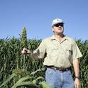 Jeff Dahlberg at a Kearney sorghum research planting.