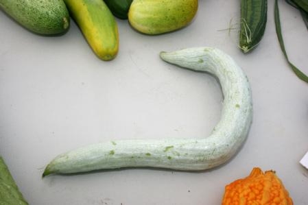 A snake gourd, center, is one of the more unusual Asian vegetables grown in the valley. (Photo: Brenda Dawson)