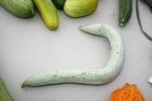 A snake gourd, center, is one of the more unusual Asian vegetables grown in the valley. (Photo: Brenda Dawson)