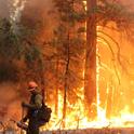 A firefighter monitors a backfire while Rim Fire rages in the background. (Photo: U.S. Forest Service)