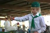 4-H chicken project.