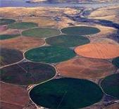 Aerial view of center-pivot irrigation.