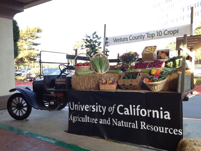 Ventura County's top 10 ag commodities were on dispaly in a Model T truck at the UC Cooperative Extension Celebration of Science and Service.
