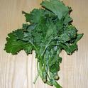 Broccoli raab, also called rapini, is a speciality vegetable more bitter than broccoli. (Photo: Wikimedia Commons)
