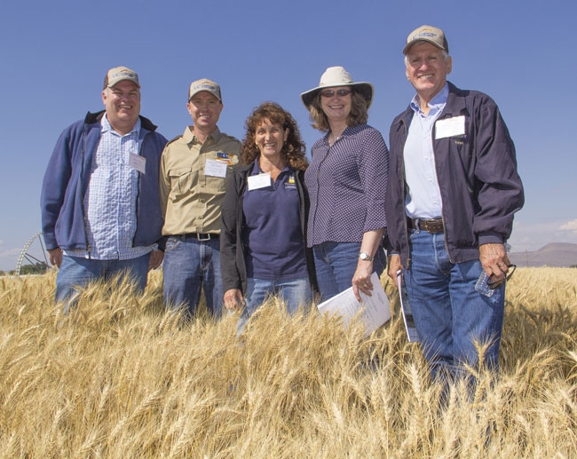 Participants in the Intermountain REC field day included (from left) UCCE vice provost Chris Greer, IREC director Rob Wilson, REC system associate director Lisa Fischer, ANR vice president Barbara Allen-Diaz and ANR associate vice president Bill Frost. (Photo: Todd Fitchette, courtesy of Western Farm Press),