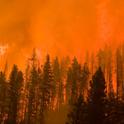 New research says the West needs to adapt and identify vulnerabilities in order to coexist with wildfire.