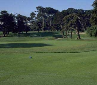 Beautiful golf course turf.