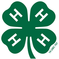 4-H stands for head, heart, hands and health.