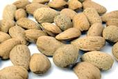 Almonds aren't getting a fair shake, says UC expert.