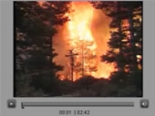 A frame from the fire video.