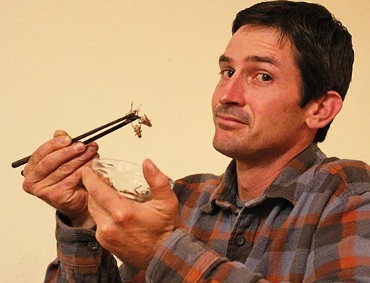 UC ANR's Mark Lundy says some of the sustainability claims on production of insects for human food have been overstated. (Photo: Kathy Keatley Garvey)
