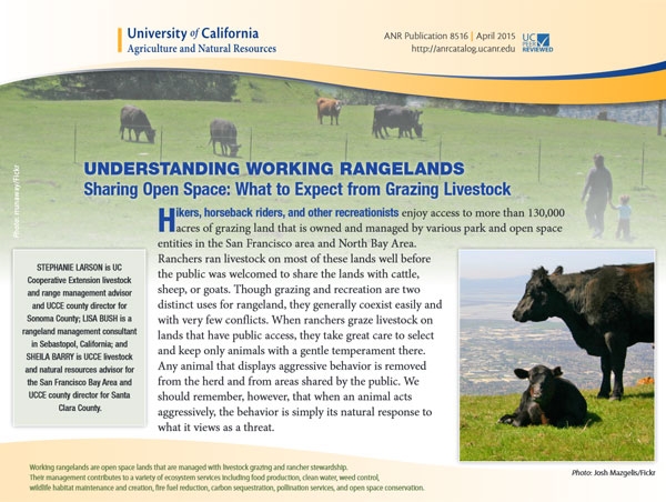 A new free UC ANR publication helps hikers, bikers and runners peacefully co-exist with grazing animals.