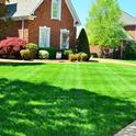 Removal of lush green lawns will require adjustment for the lawn care industry.