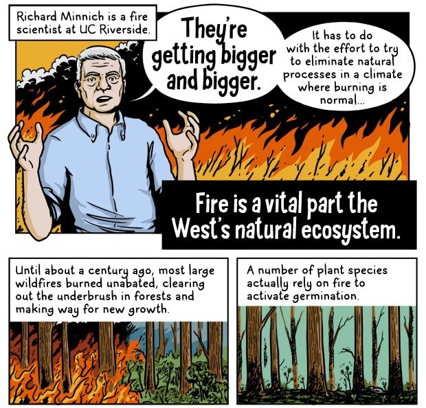 UC Riverside's Richard Minnich is featured in a KQED infographic on wildfires created by artist Andy Warner.
