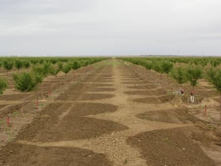 Improving irrigation technology could help farmers cut water needs.