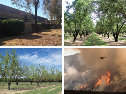 UC ANR experts provide perspective on drought in landscapes, orchards and wildfires.
