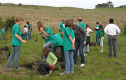 4-H members plant trees at UC 's Elkus Ranch.