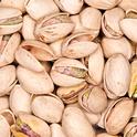 A lack of winter chill can increase the number of pistachio blanks. (Photo: Wikimedia Commons)