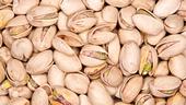 A lack of winter chill can increase the number of pistachio blanks. (Photo: Wikimedia Commons)