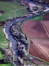 Delta  farmland.