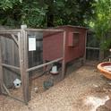 A simple setup for a backyard chicken.
