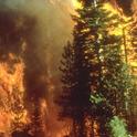 Wildfire in California. (Photo: Wikimedia Commons)