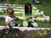 A Placer County school garden.